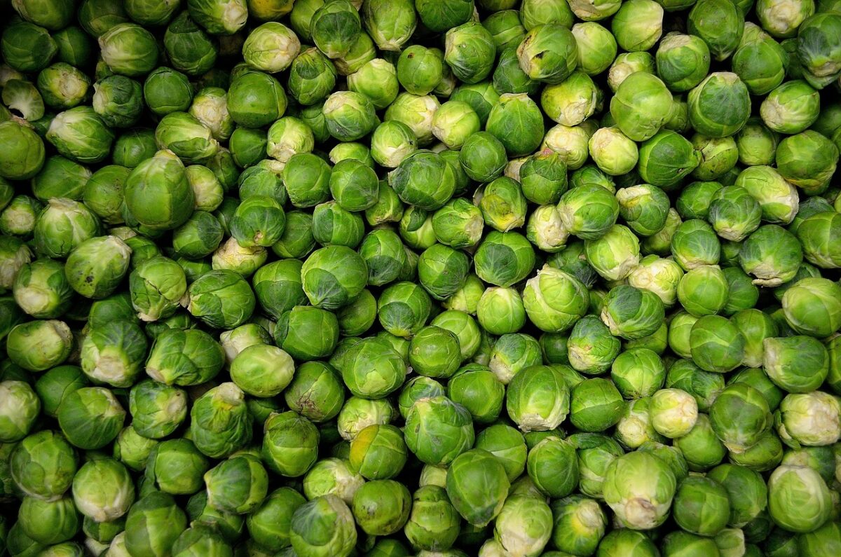 Cavolini di Bruxelles Cotti