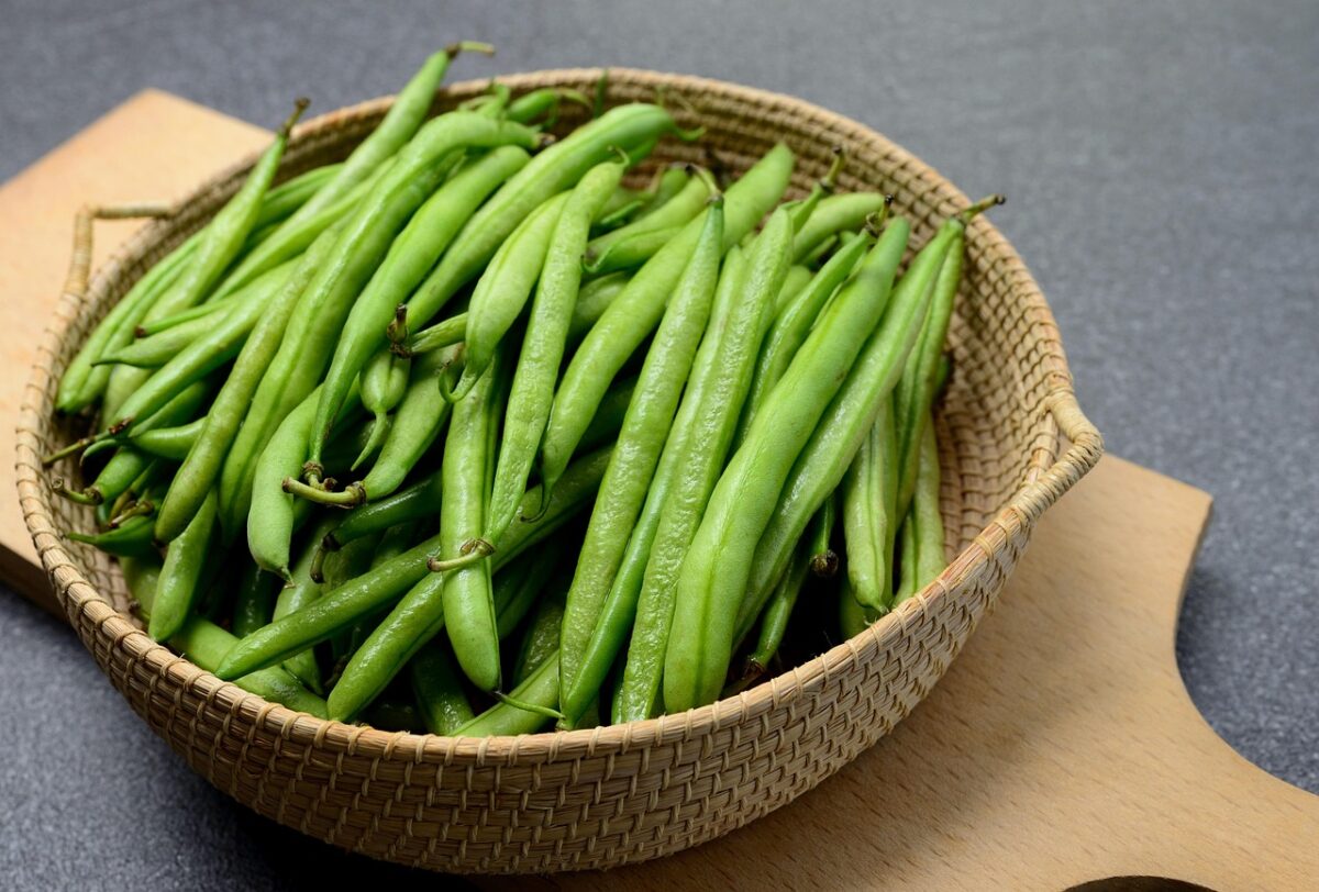 Fagiolini (Solidi e Liquidi, in Scatola)