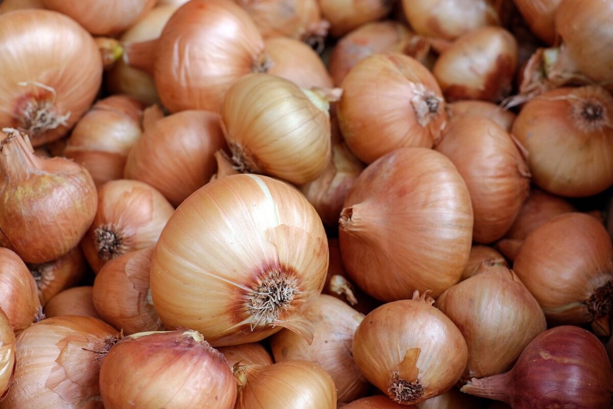 Cipolle Rosse