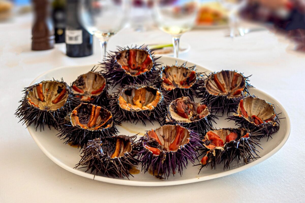 Ricci di Mare