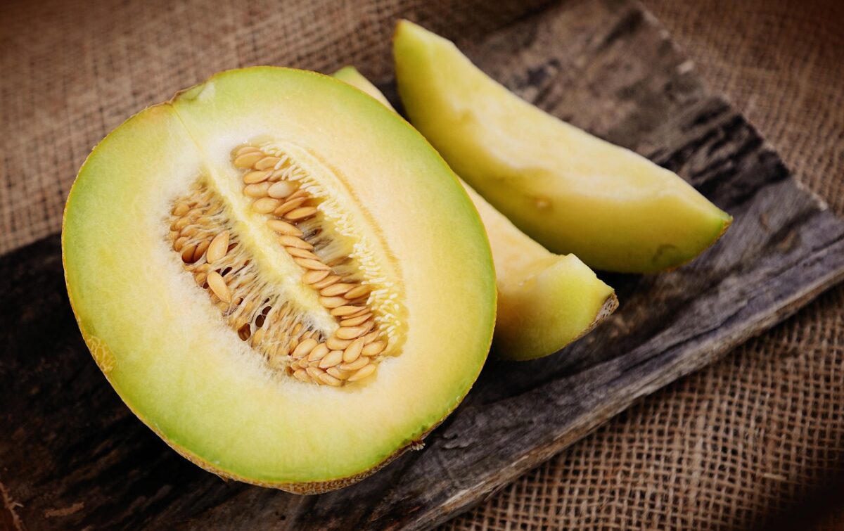 Gelo di Melone