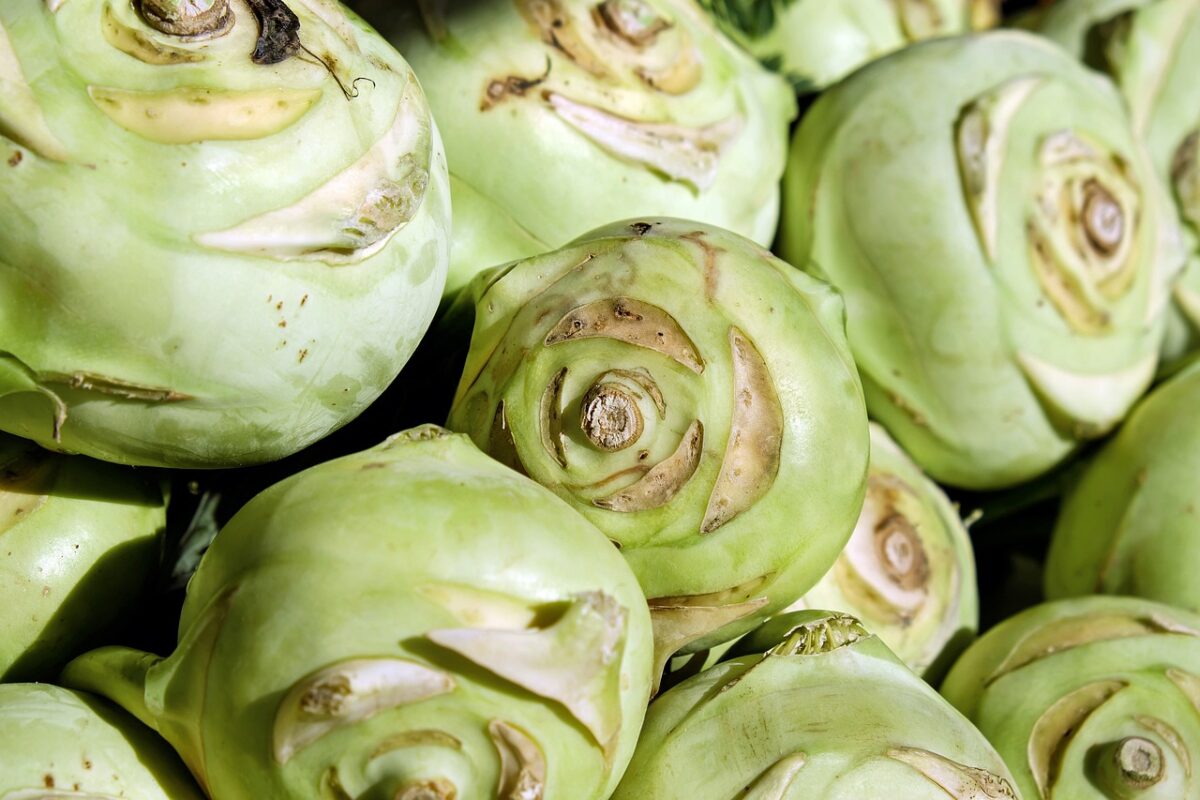 Kohlrabi (Rapa o Cavolo)