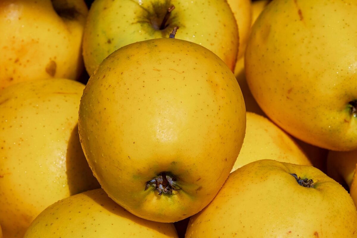 Mele Golden Delicious