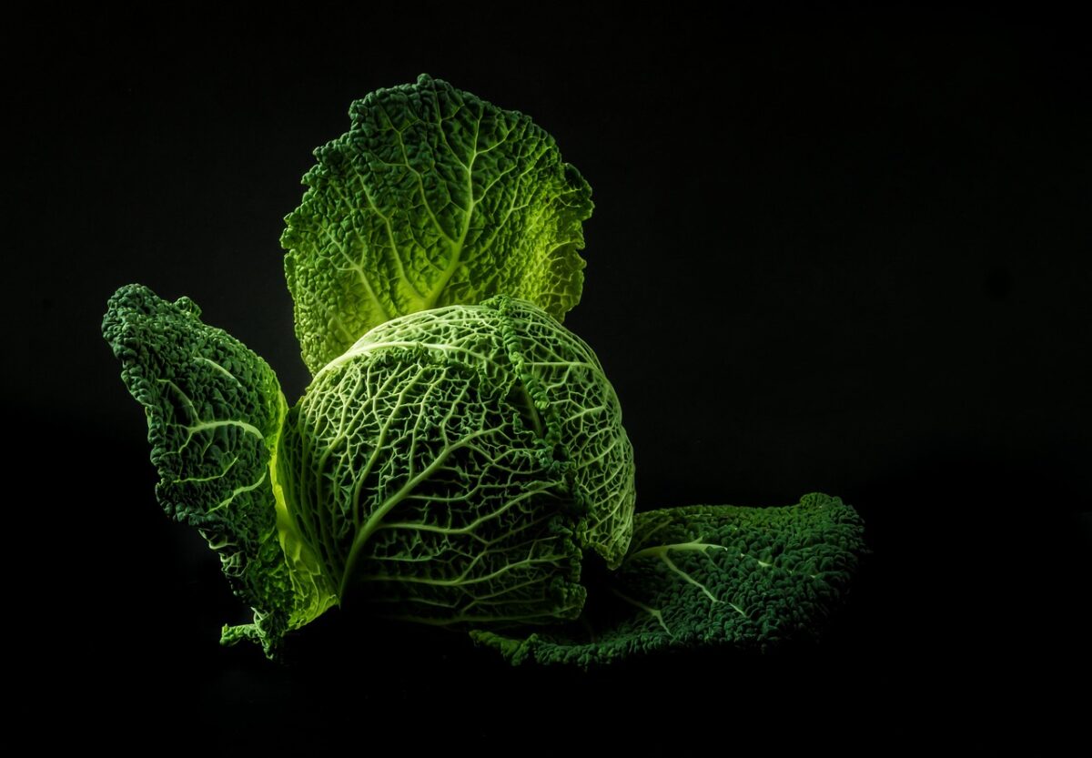 Cavolo Verde Cotto
