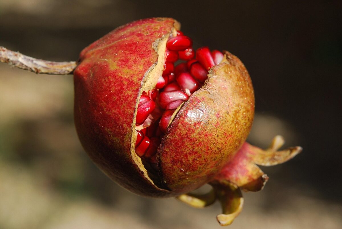 Succo di Melograno