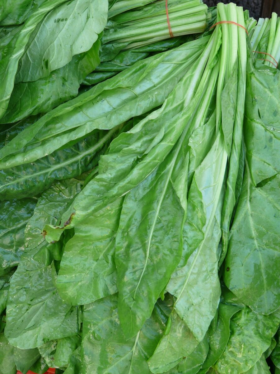 Spinaci
