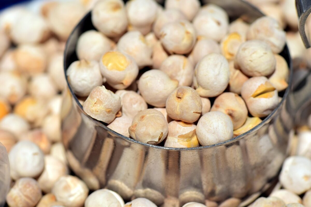 Ceci Secchi Cotti