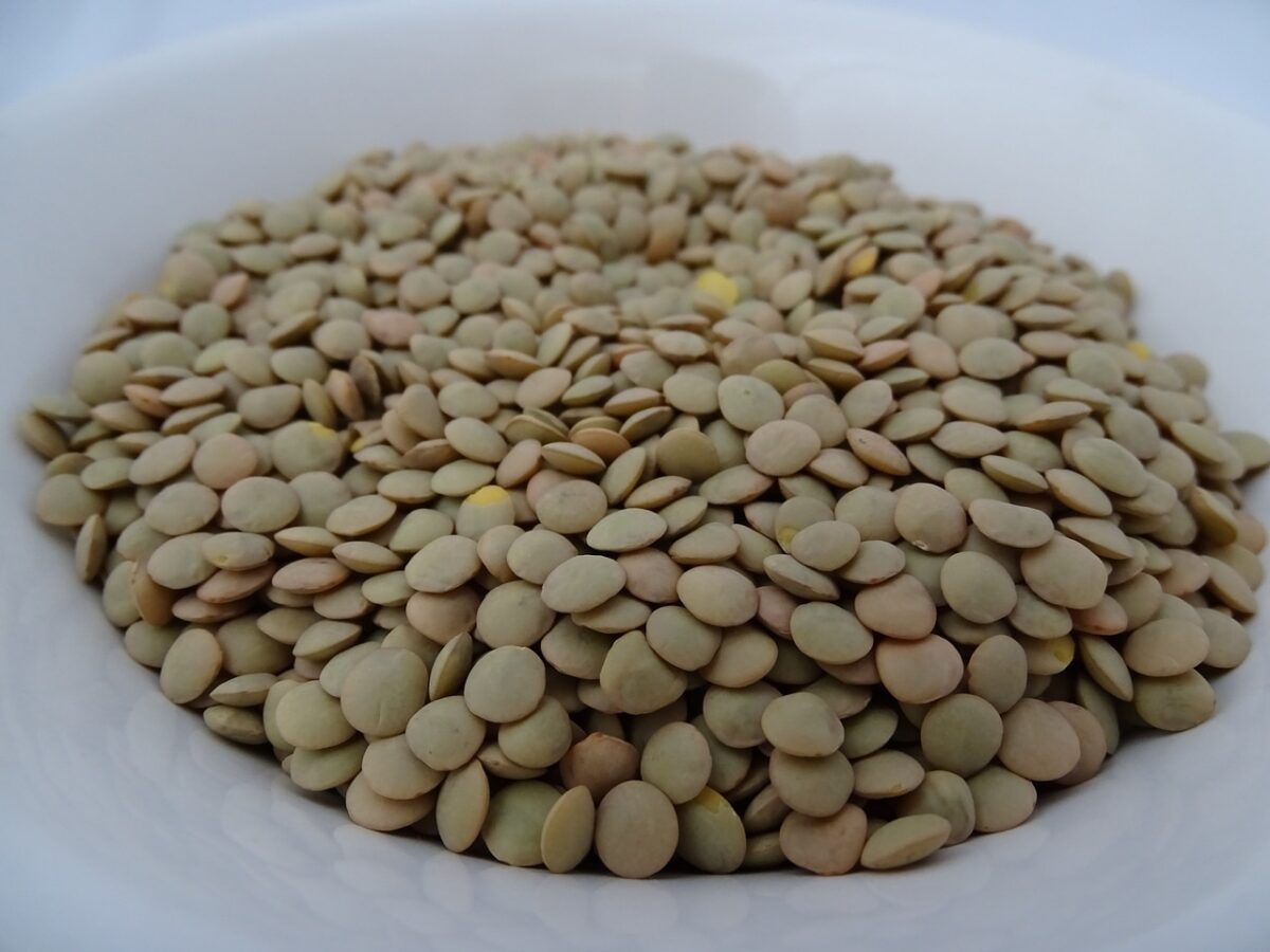 Pane di Lenticchie