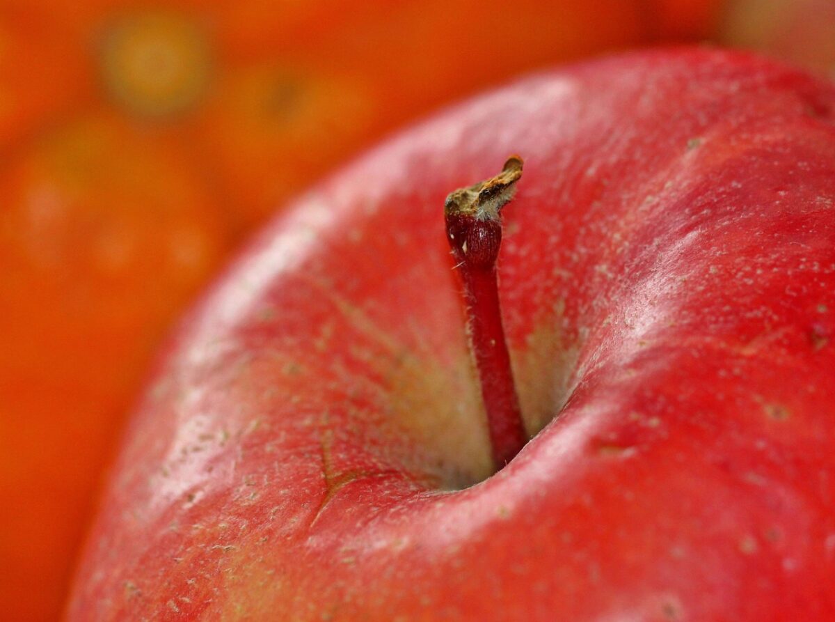 Buccia di Arancia