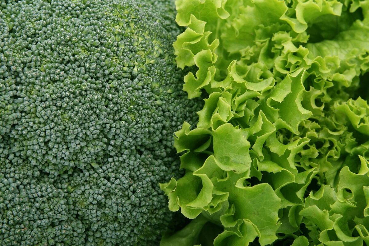 Insalata Esotica