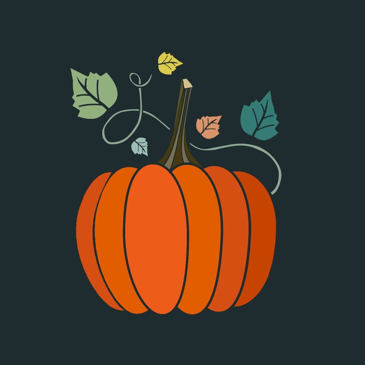 Zucca