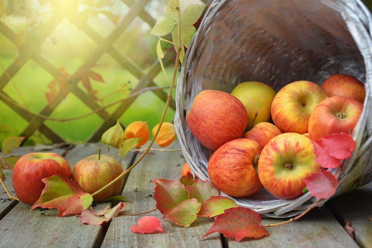 Mele Braeburn