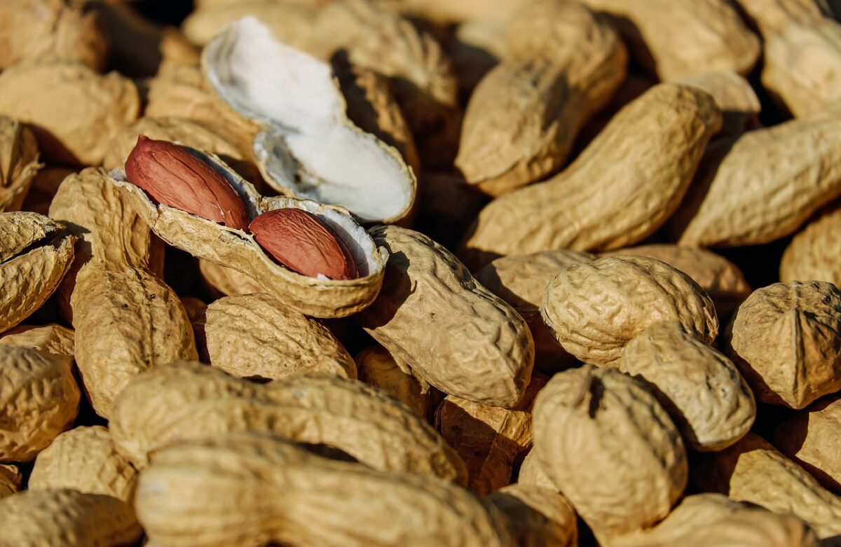 Misto di Noci, Noccioline e Arachidi Tostate