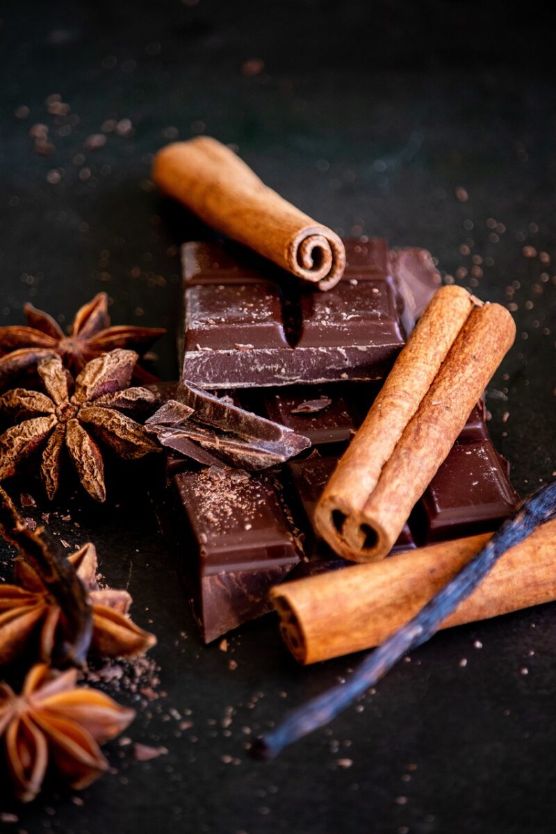 Budini al Cioccolato (senza Grassi)