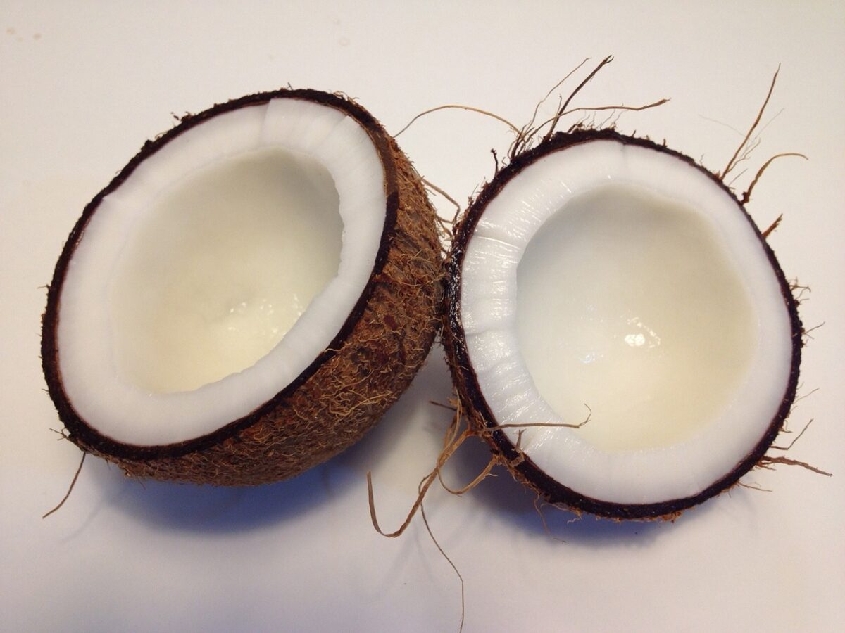 Noce di Cocco