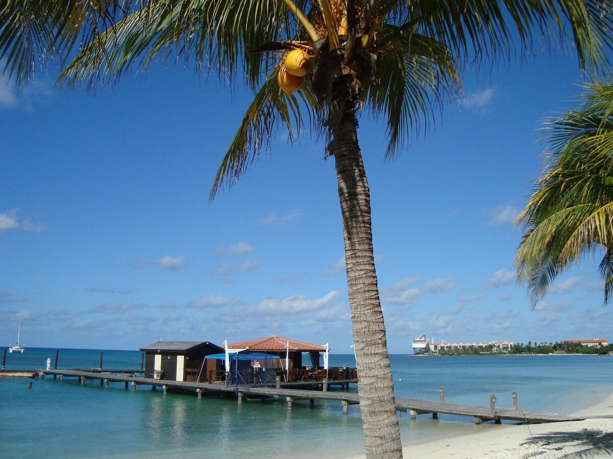 Île Flottante