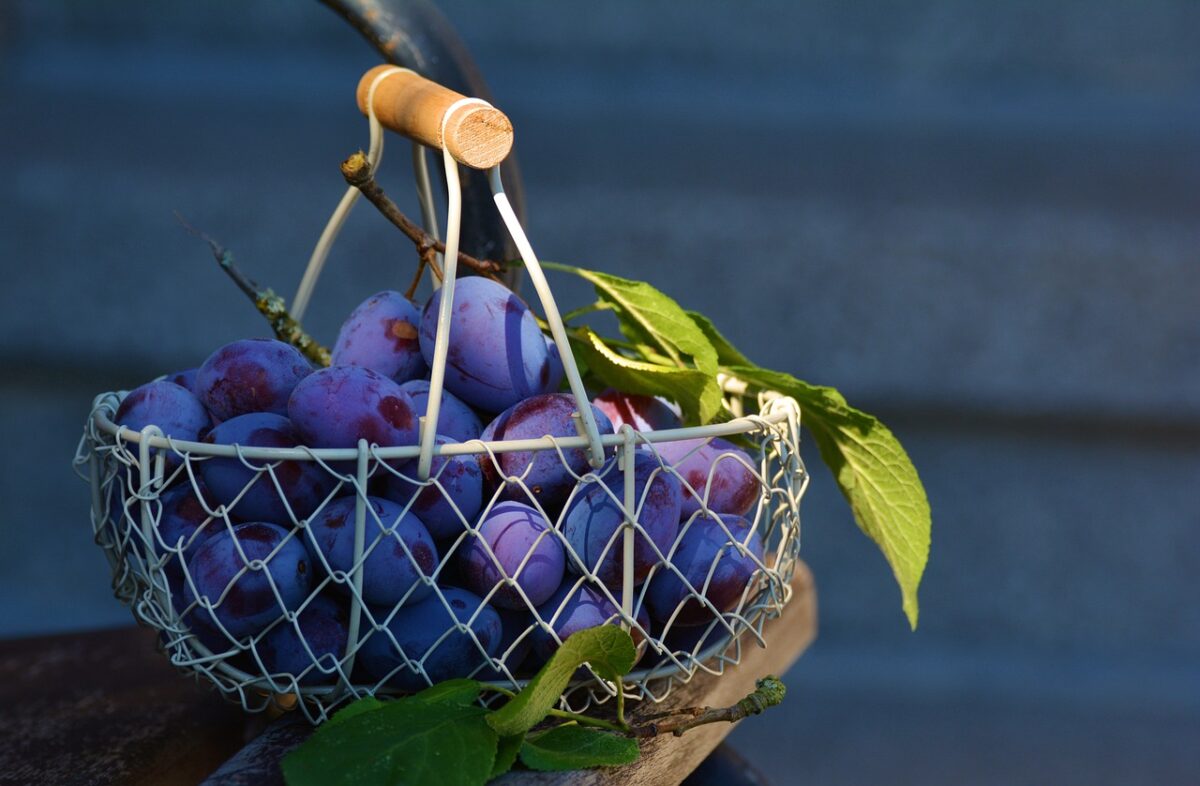Succo di Prugne