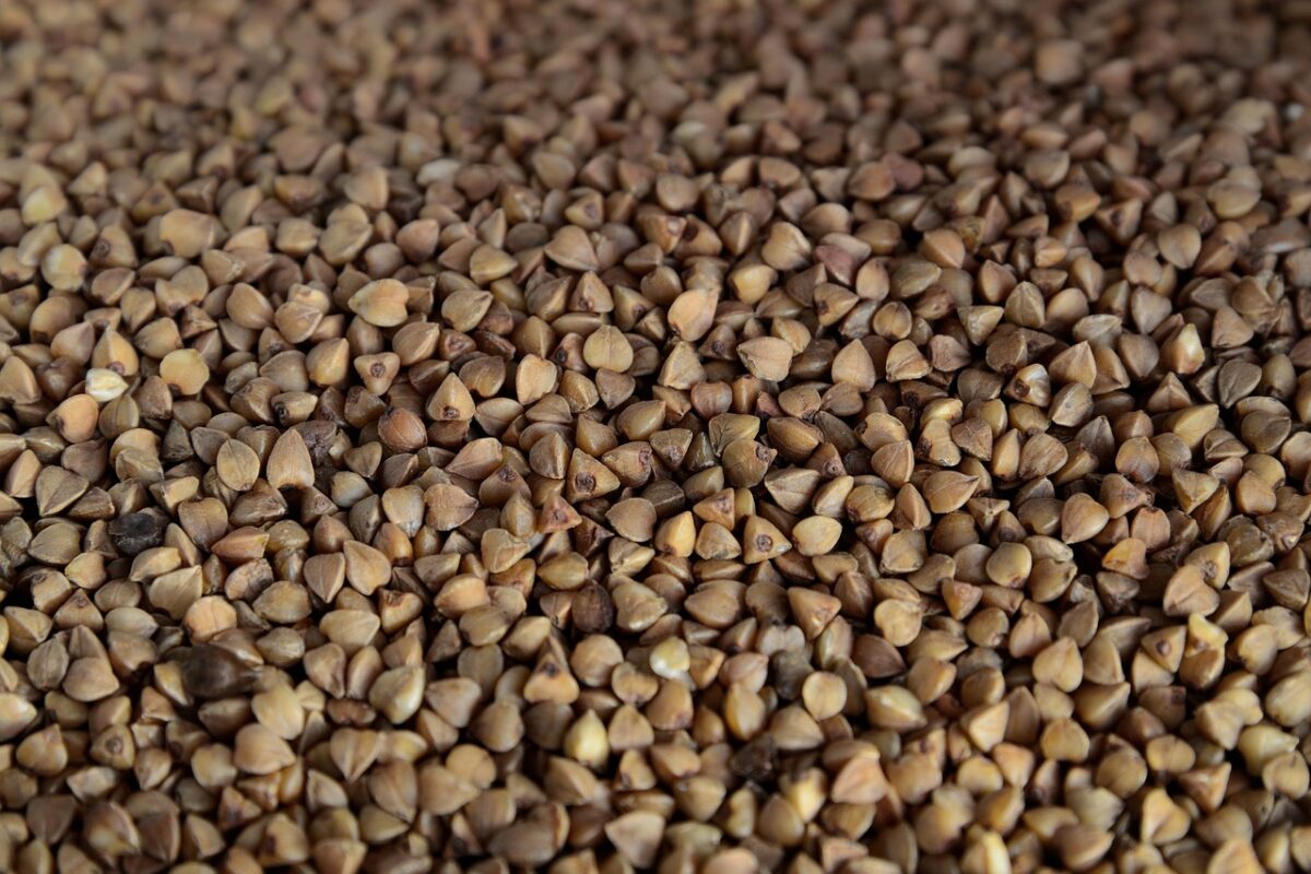 Chicchi di Grano Saraceno