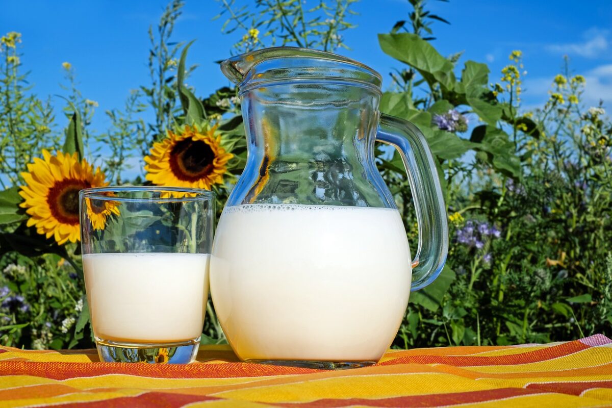 Latte di Soia