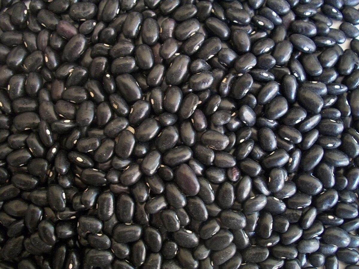 Fagioli Neri