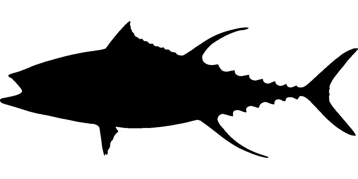 Tonno Light (Sgocciolato dall’acqua, in Scatola)