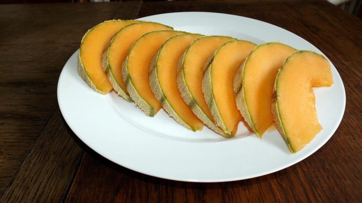 Cantalupo (Melone)