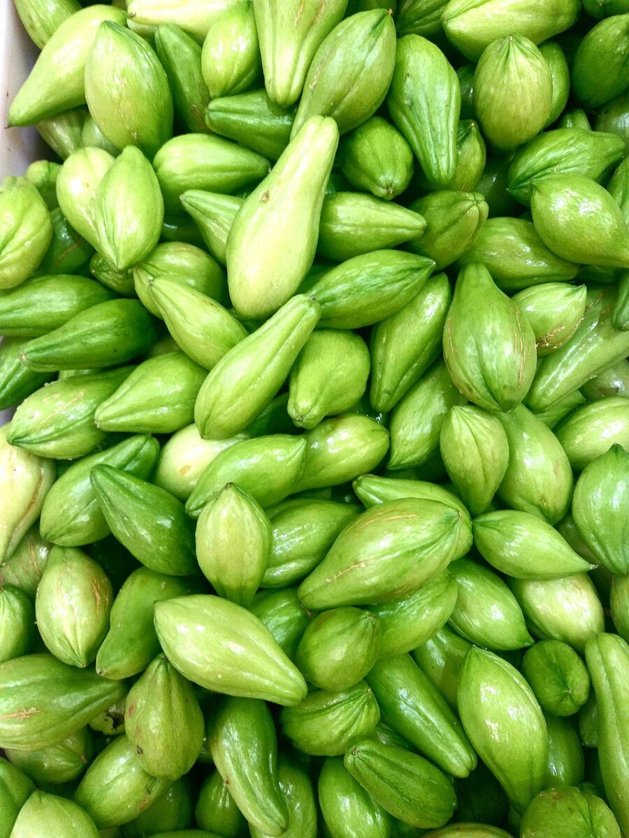 Chayote (Frutta, Salata, Sgocciolata, Bollita, Cotta)