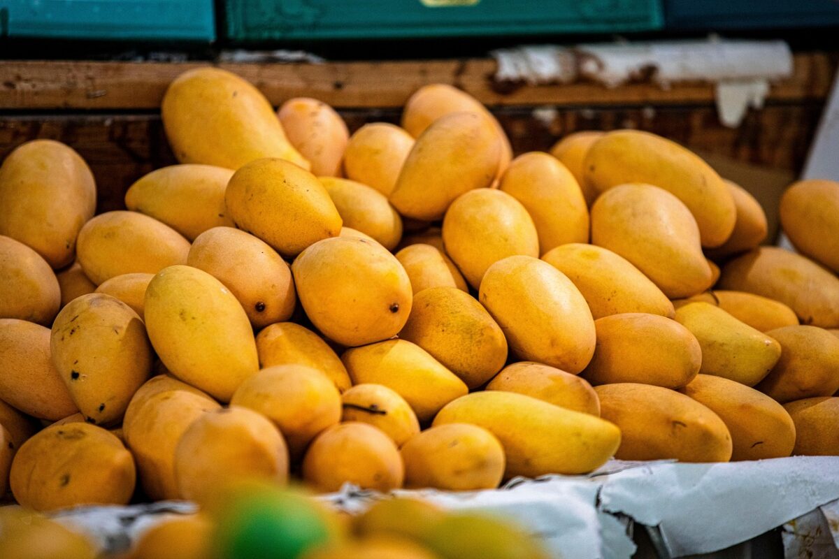 Mango Essiccato