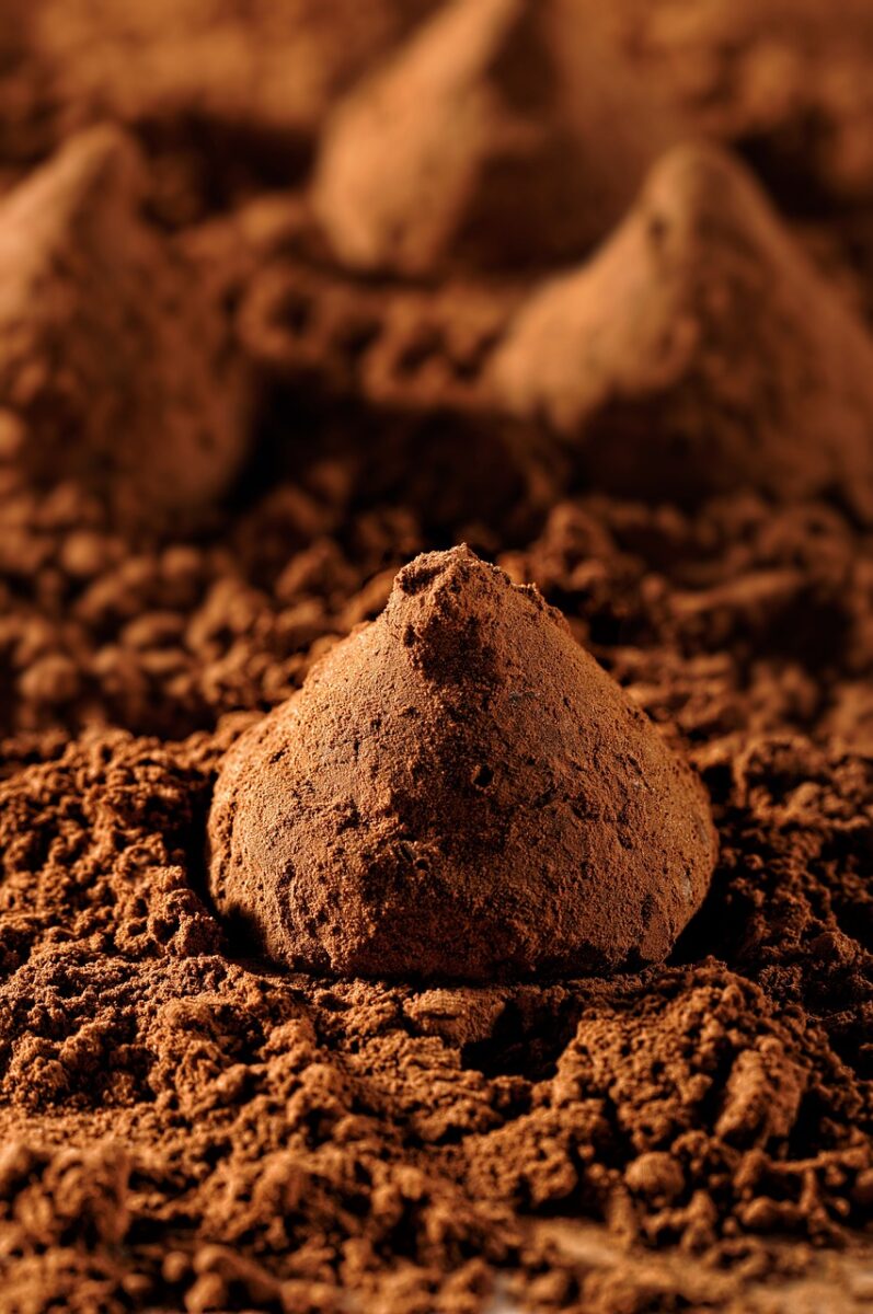 Cacao in Polvere (non Zuccherato)