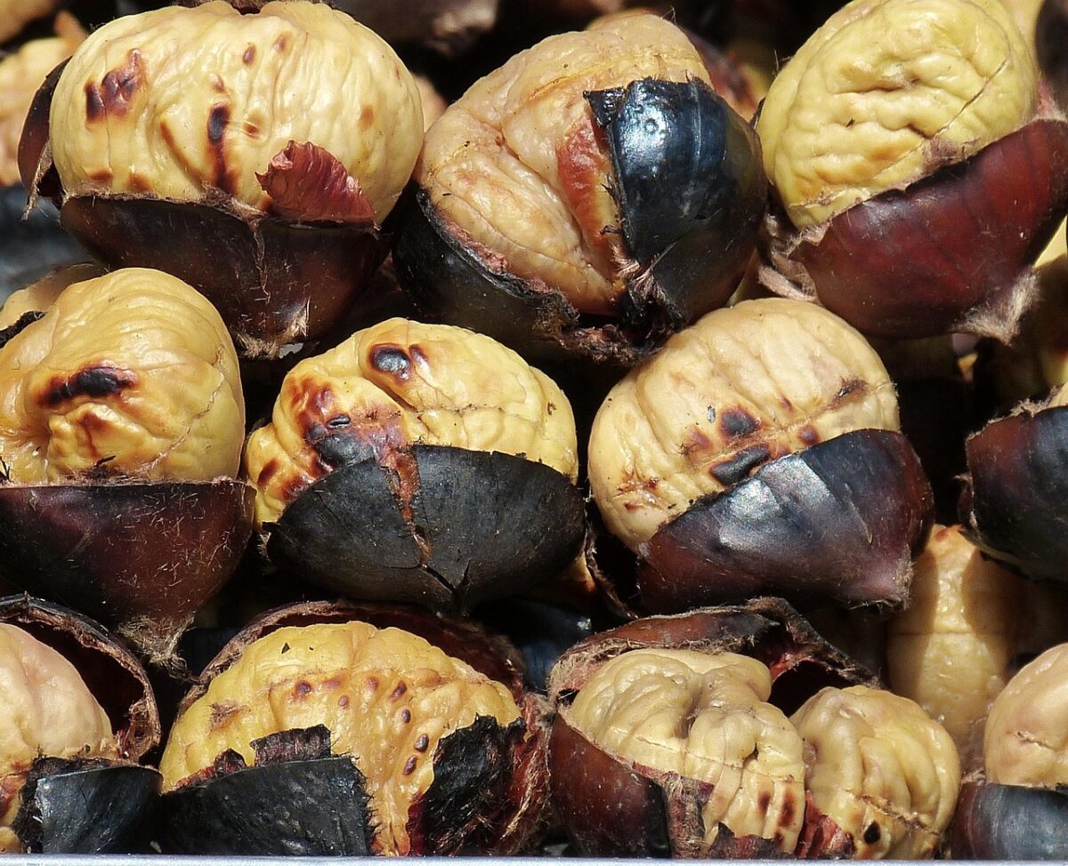 Castagne Arrosto