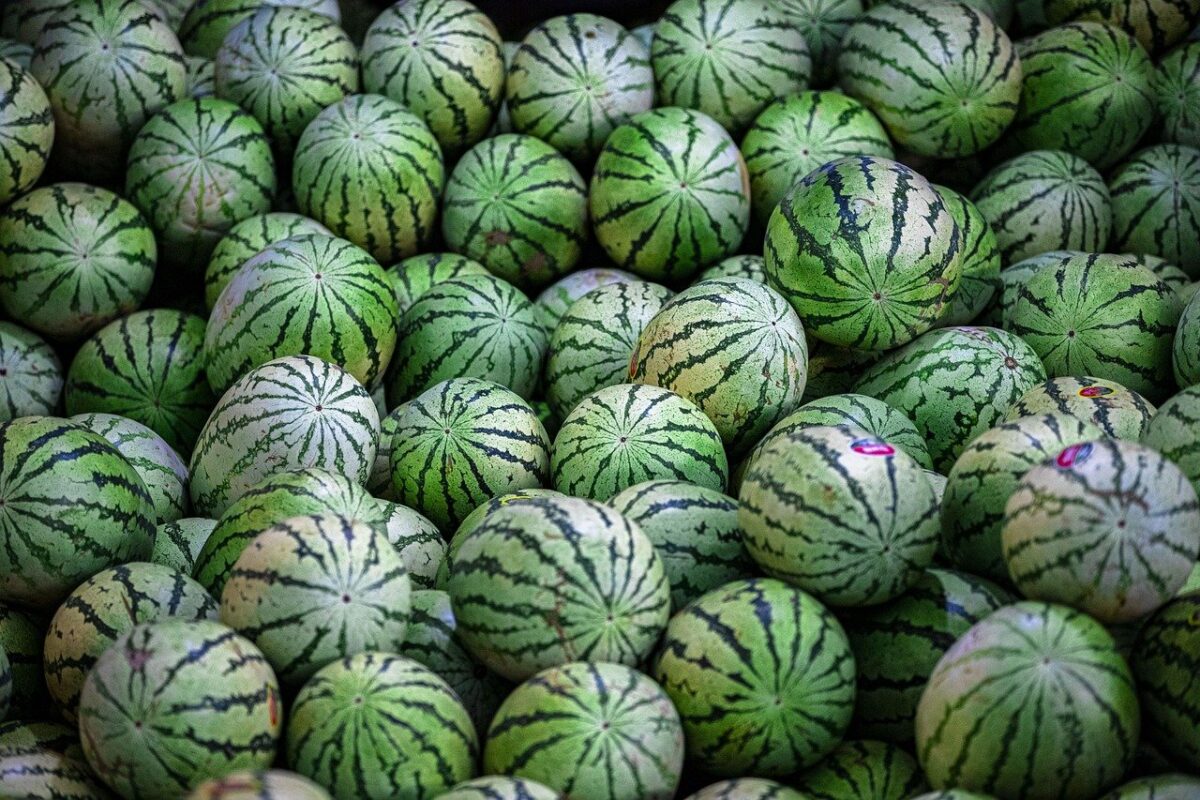 Melone