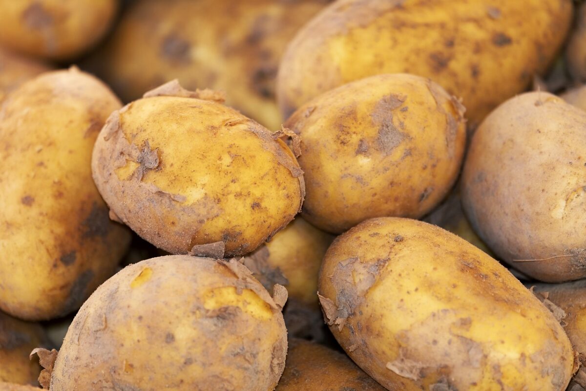 Patata al Forno (Mangiate con la Buccia)