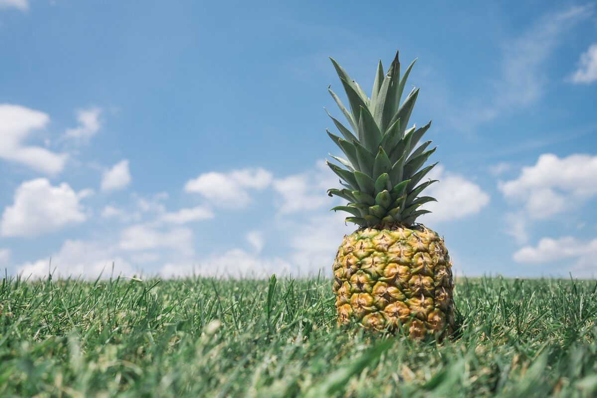 Ananas Essiccato