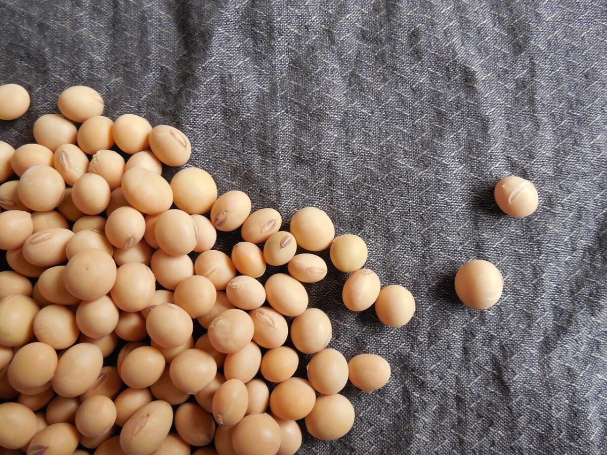 Semi di Soia (Semi Maturi, Salati, Cotti, Bolliti)