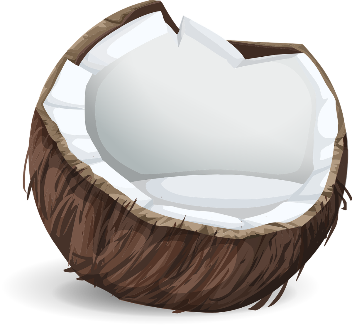 Cocco Essiccato