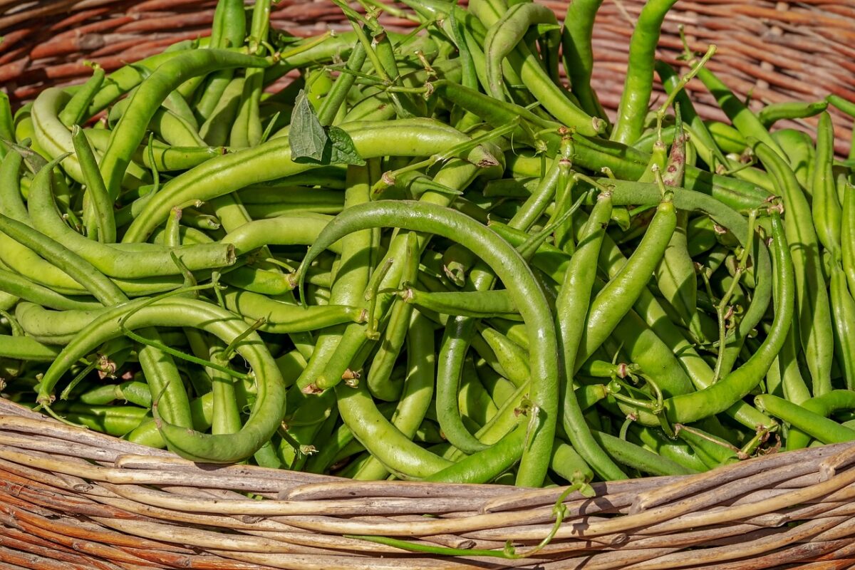 Fagioli con le Cotiche