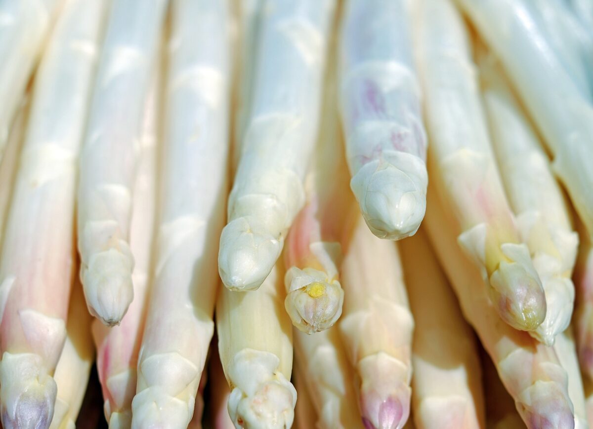 Asparagi (non Preparati, Surgelati)