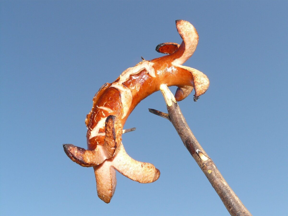 Salsiccia di Fegato