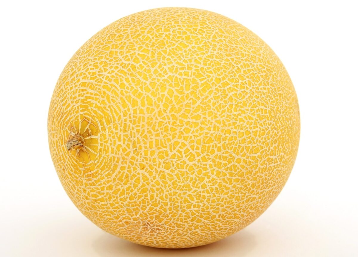 Melone Bianco