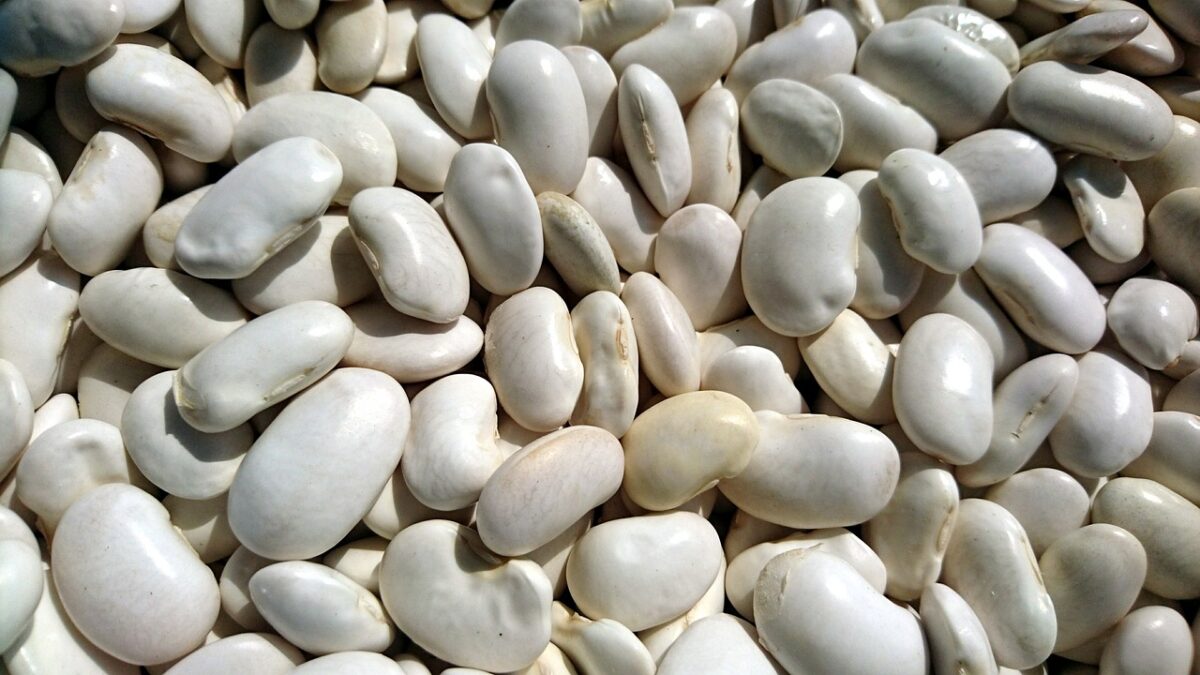 Fagioli Bianchi (Semi Maturi, in Scatola)