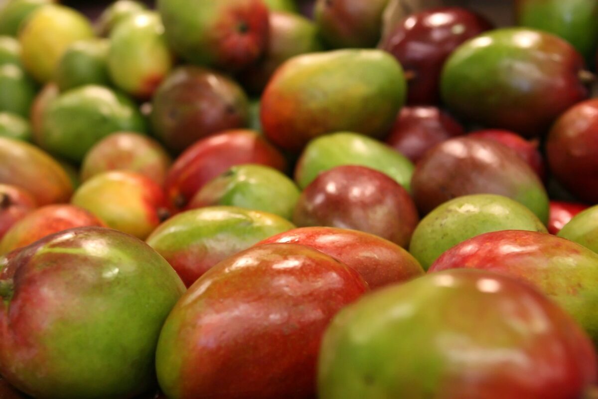 Nettare di Mango