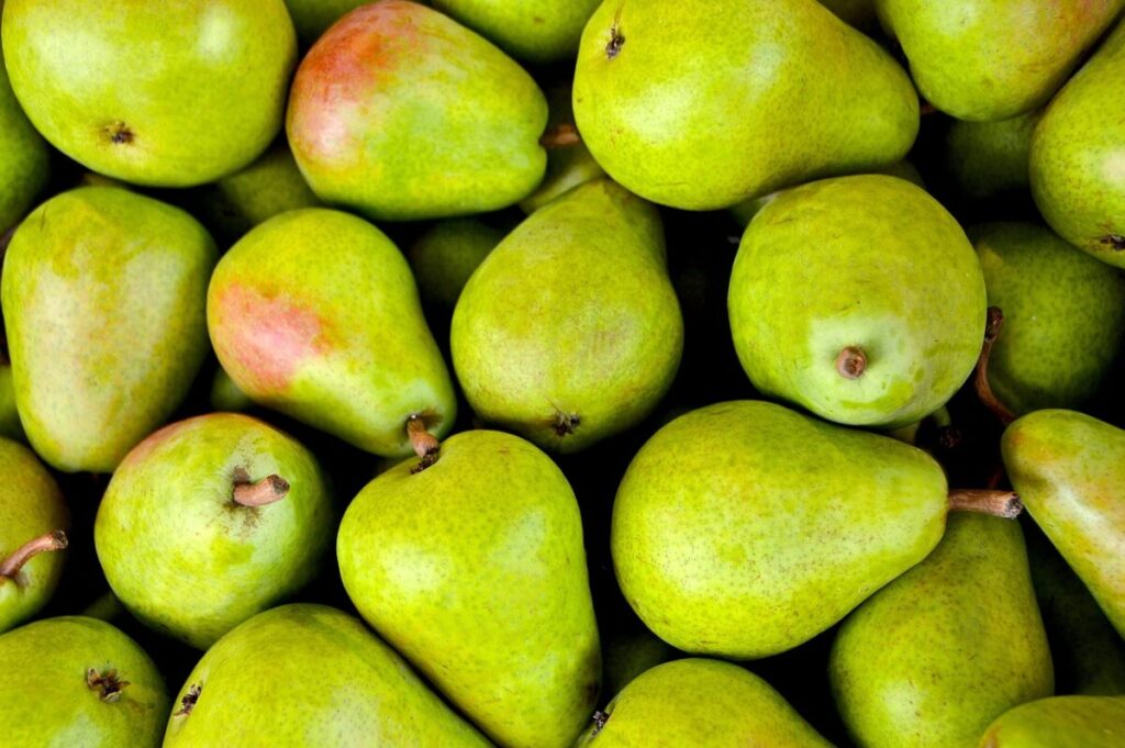 Galleria foto 'Plum cake senza glutine alle pere e noci pecan' - foto 1