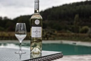 wine, winery, drink, beverage, bottle, alcoholic, vineyard, tasting, grape, winemaking, taste, alcohol, vino, france, winery, winery, vino, vino, vino, vino, vino