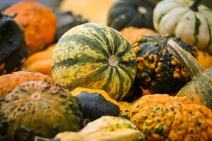 pumpkin, fall, october, nature, harvest, season, gourd, autumn decoration, decoration, halloween, autumnal, decorative, vegetables, autumn motives