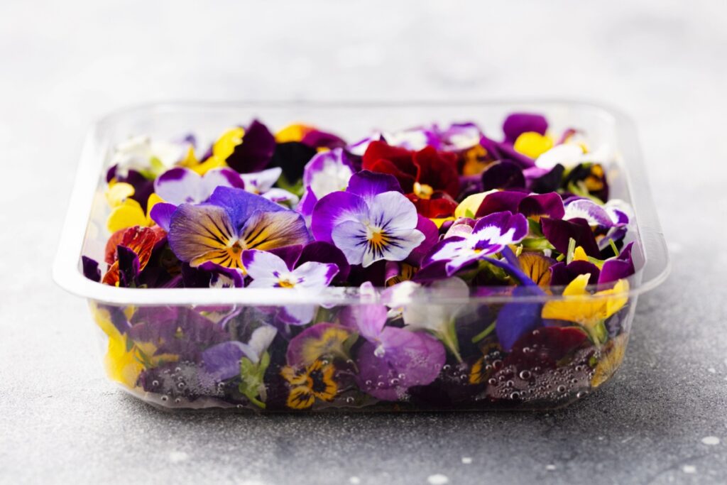 Galleria foto 'Torta Sacher senza glutine' - foto 1