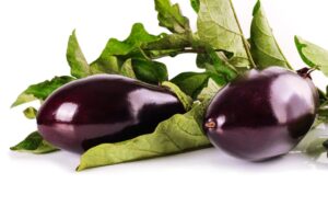 eggplant, vegetables, food, produce, nature, harvest, leaves, edible, organic, natural