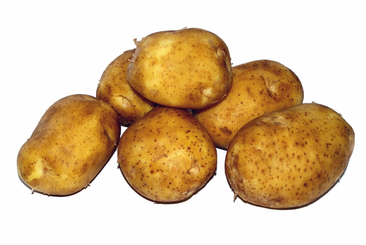 Focaccine di patate filanti in padella (gluten free) Focaccine di patate filanti in padella (gluten free)