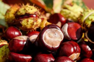Castagnaccio: un dolce tradizionale toscano