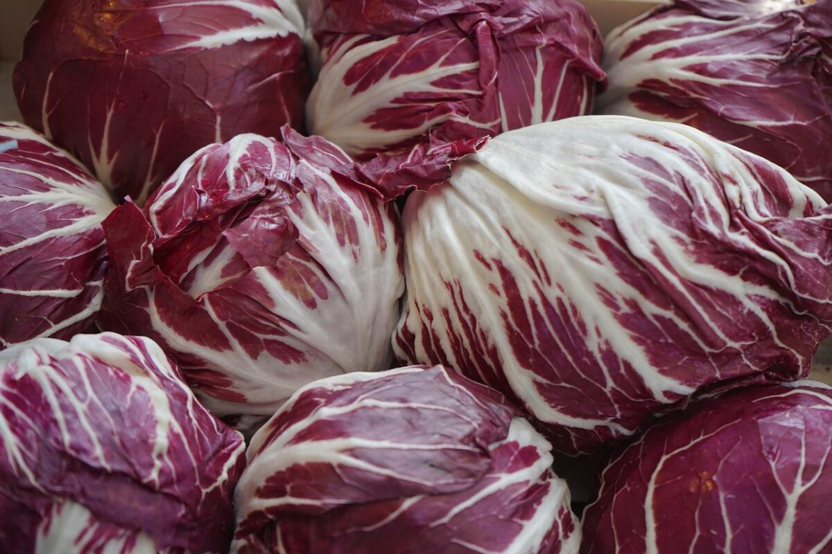 Involtini di radicchio senza glutine Involtini di radicchio senza glutine