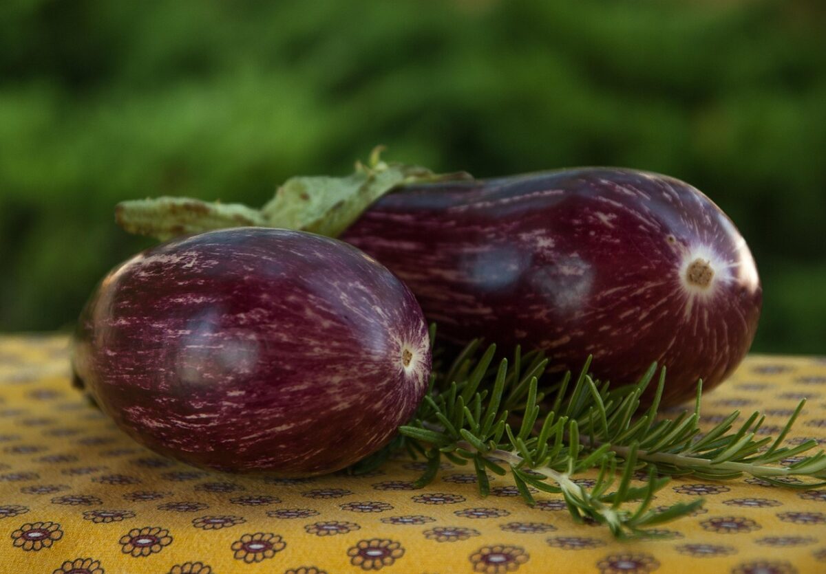 Sformatini di melanzana e cuore di bue gratinati (senza glutine)